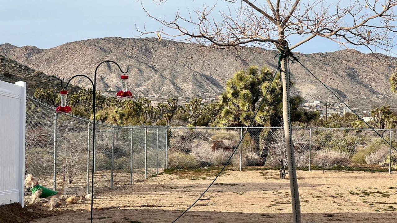 Peaceful Home With Nature Views & Trail Access Yucca Valley Exterior foto