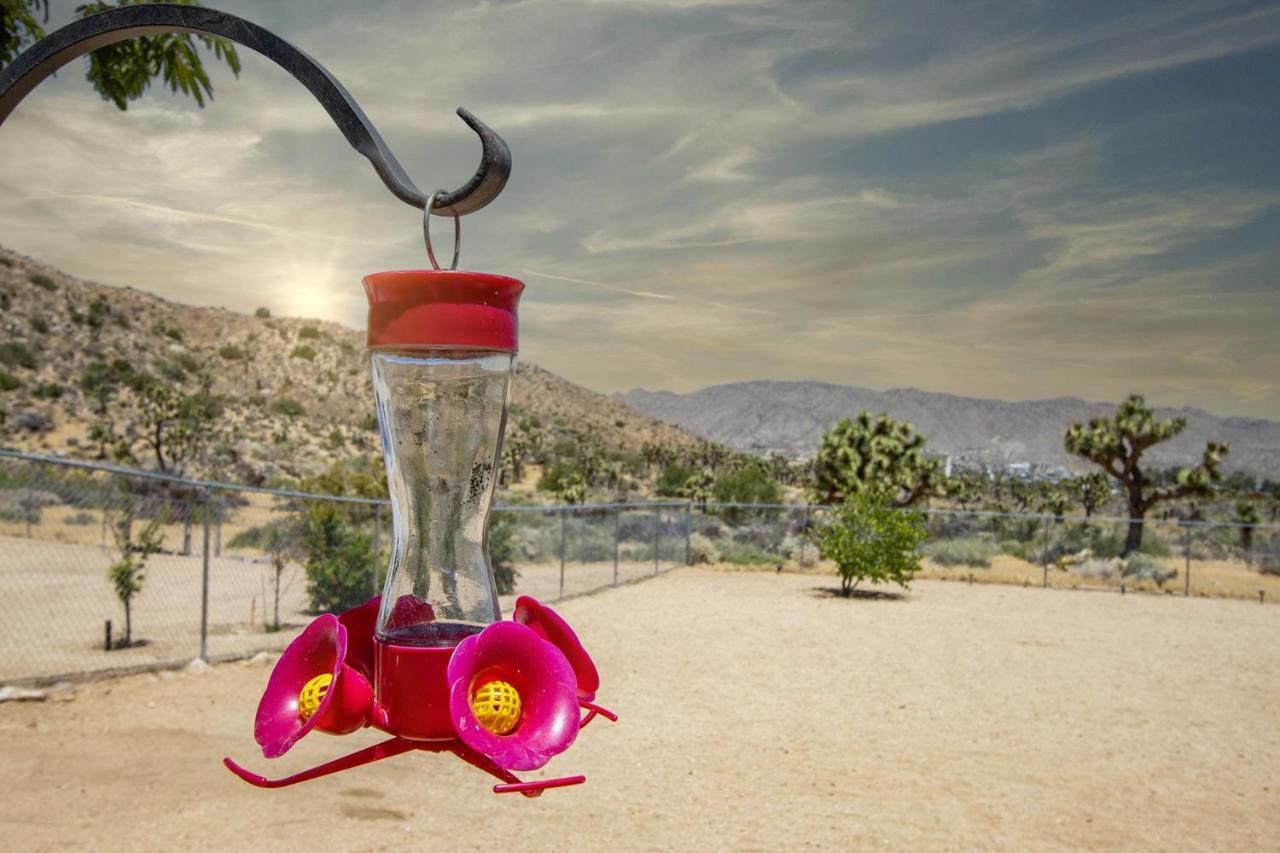 Peaceful Home With Nature Views & Trail Access Yucca Valley Exterior foto