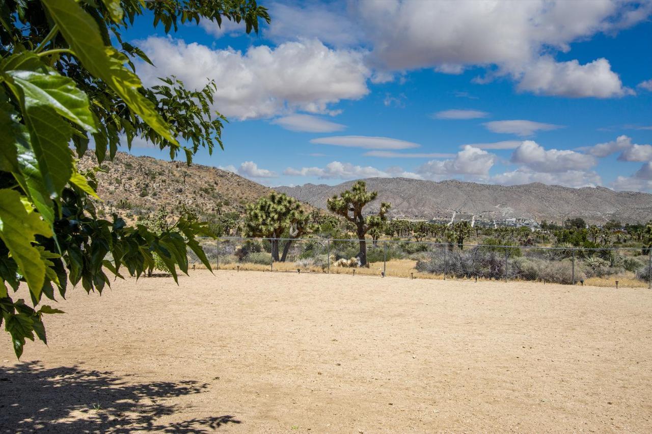 Peaceful Home With Nature Views & Trail Access Yucca Valley Exterior foto