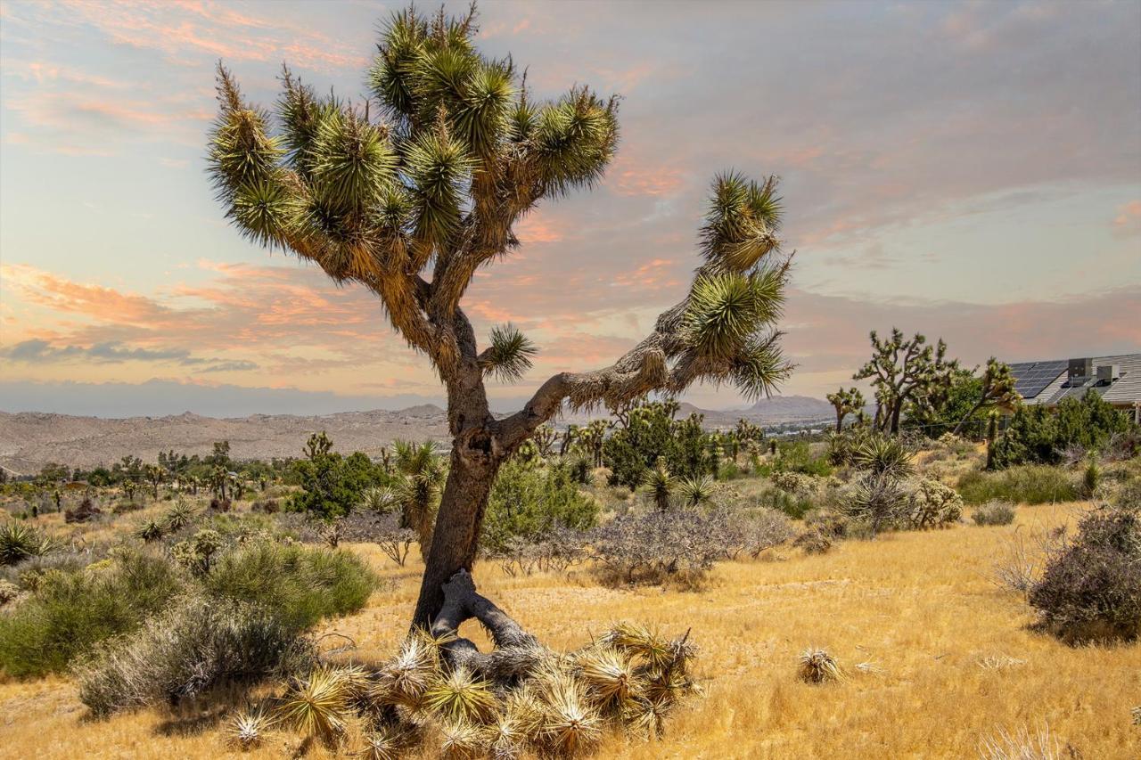 Peaceful Home With Nature Views & Trail Access Yucca Valley Exterior foto